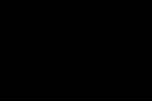 Tokio de Rosa