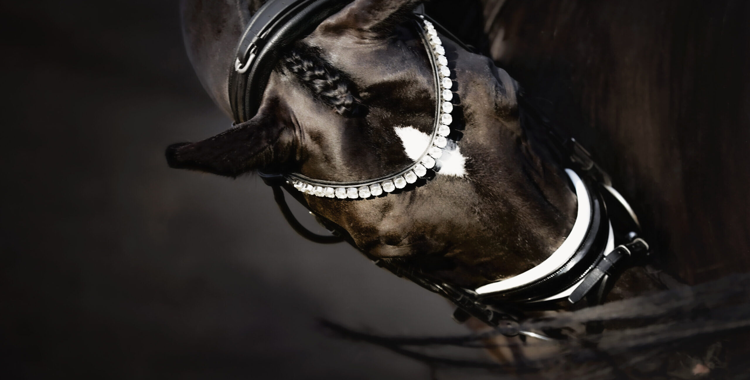 Tailormade Attention
