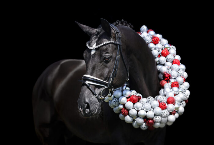 Tailormade Attention