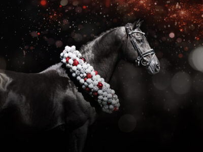 Tailormade Attention