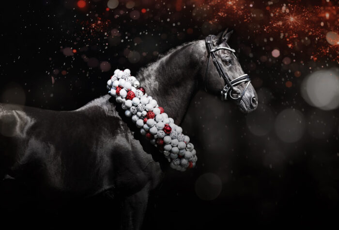 Tailormade Attention