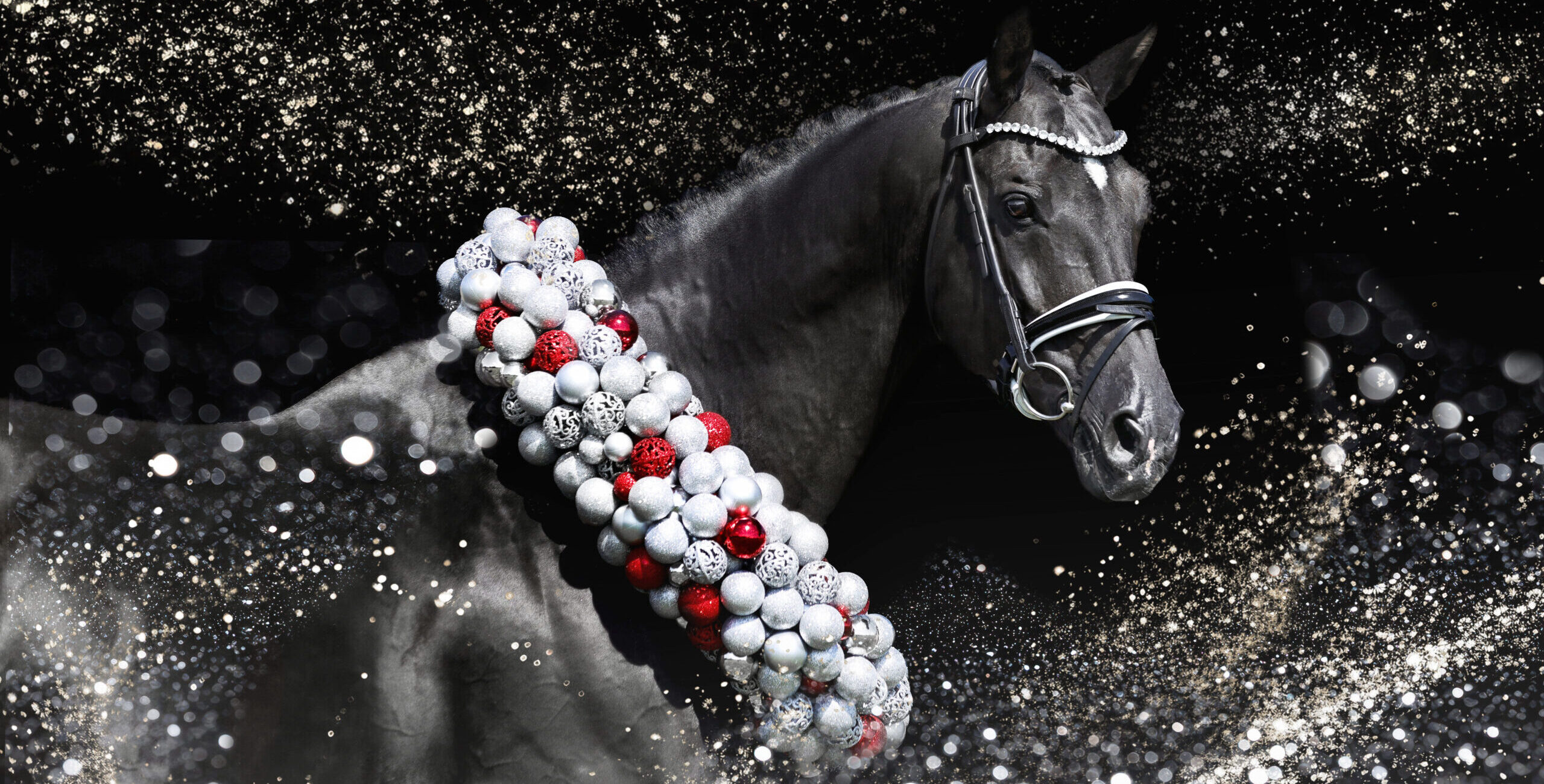 Tailormade Attention