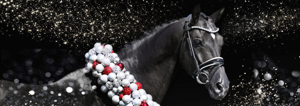 Tailormade Attention