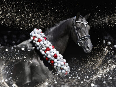 Tailormade Attention