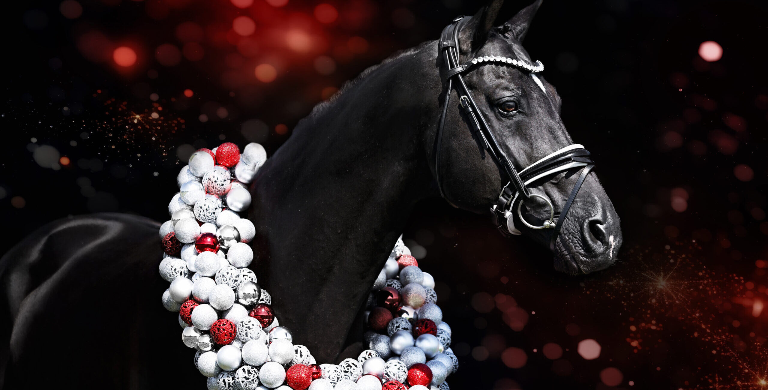 Tailormade Attention