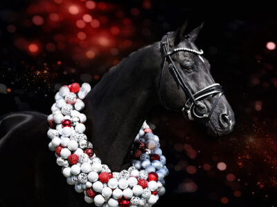 Tailormade Attention