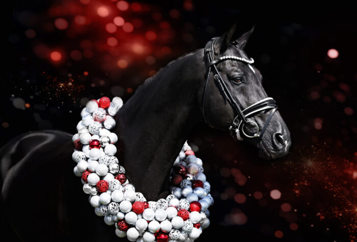 Tailormade Attention