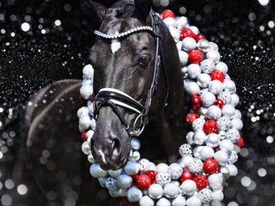 Tailormade Attention