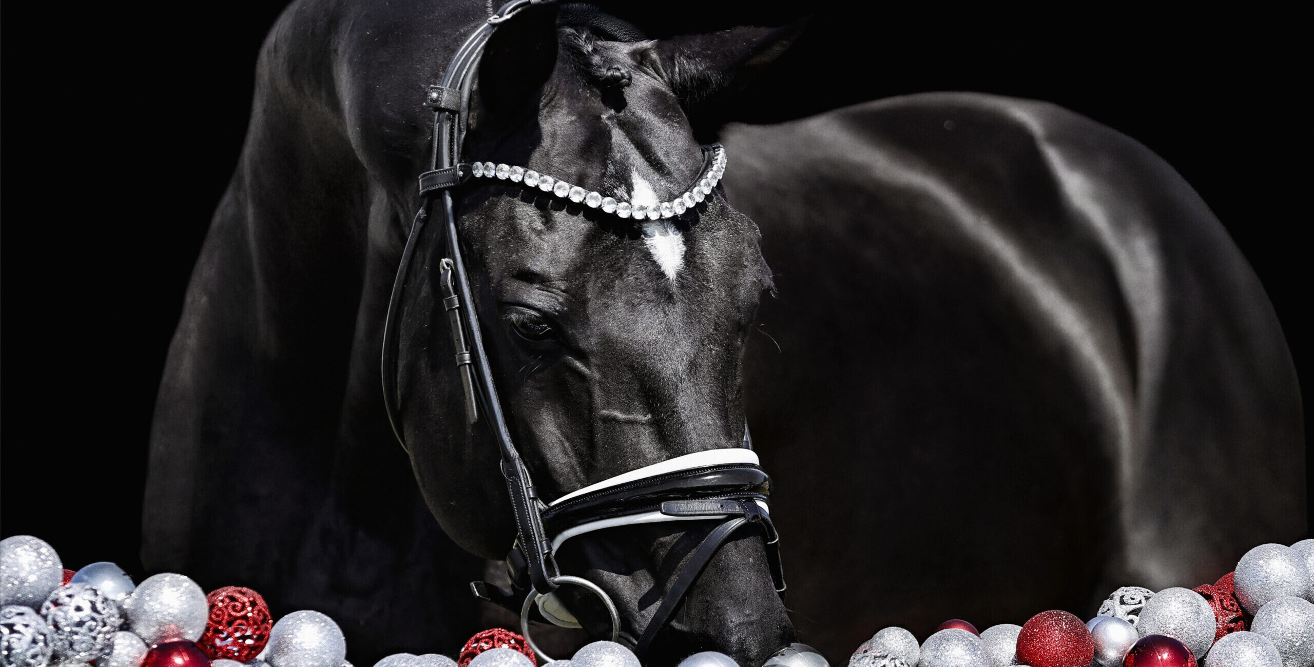 Tailormade Attention