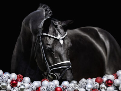 Tailormade Attention