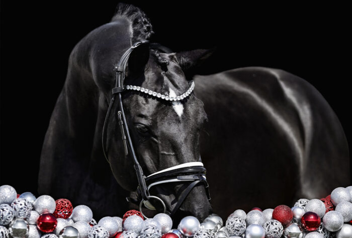 Tailormade Attention