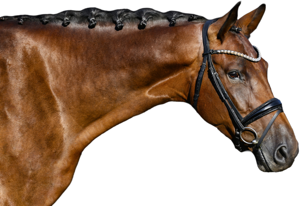 Sherry de Rpsa