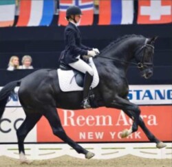 Tailormade Attention a ménvizsgán