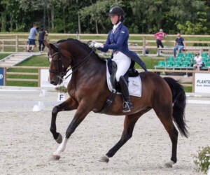 Svalegaard's Alanya (Tailormade Attention x Akinos) Tailormade Attention utódja