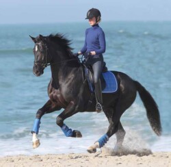 Tailormade Attention a tengerparton